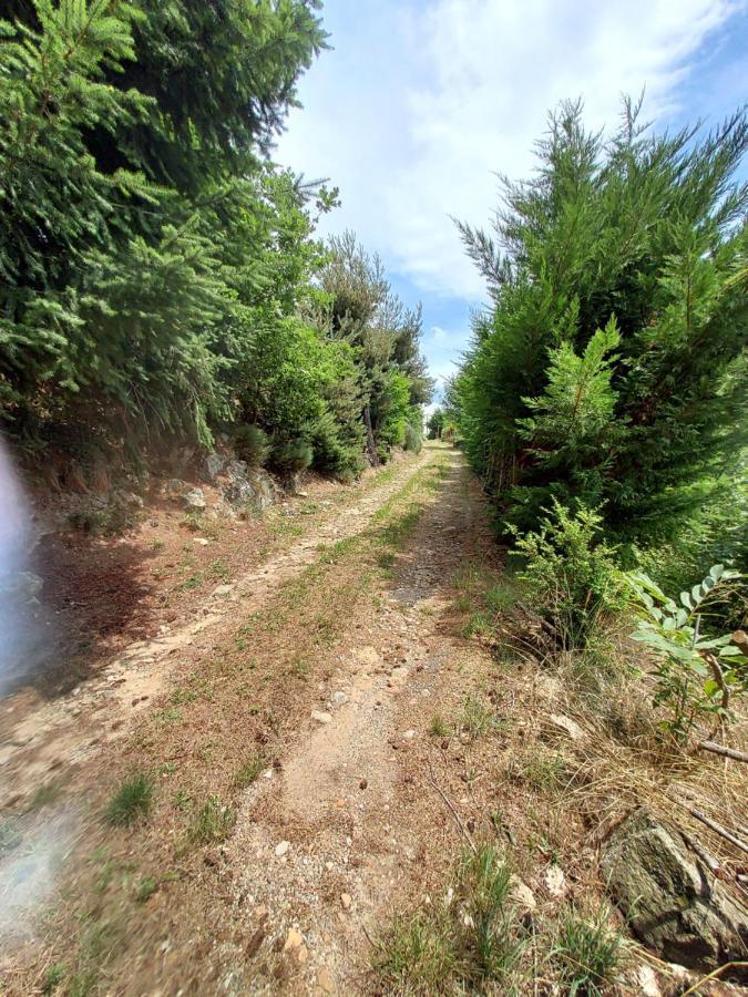 La Grange De La Coste Panzió Saint-Barthélemy-le-Meil Kültér fotó