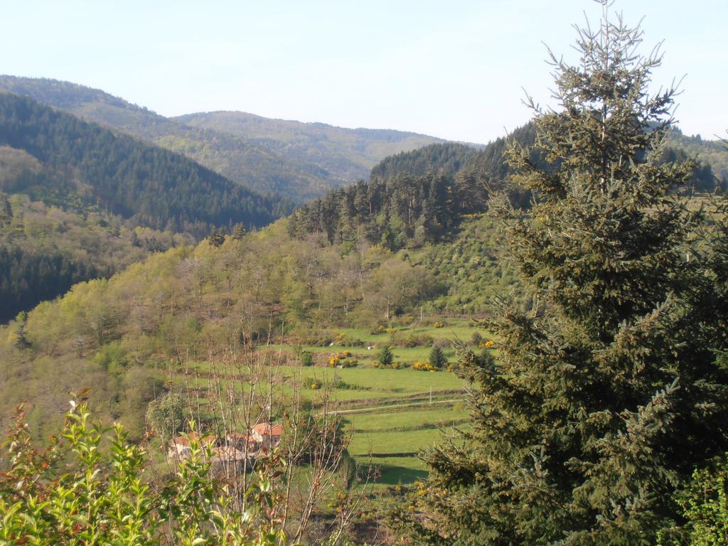 La Grange De La Coste Panzió Saint-Barthélemy-le-Meil Kültér fotó